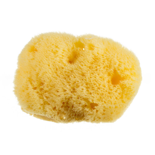 Burete natural pentru curățarea tenului