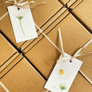 Spring MYSTERY BOX – ediție limitată 