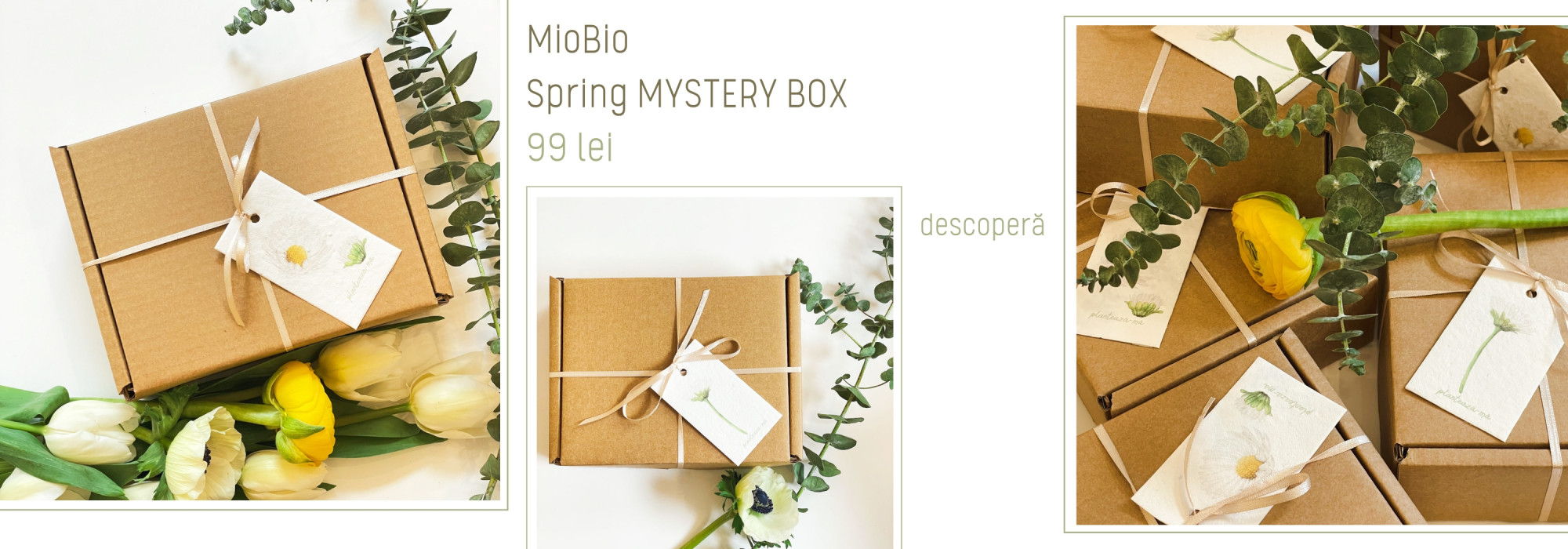 Mystery Box