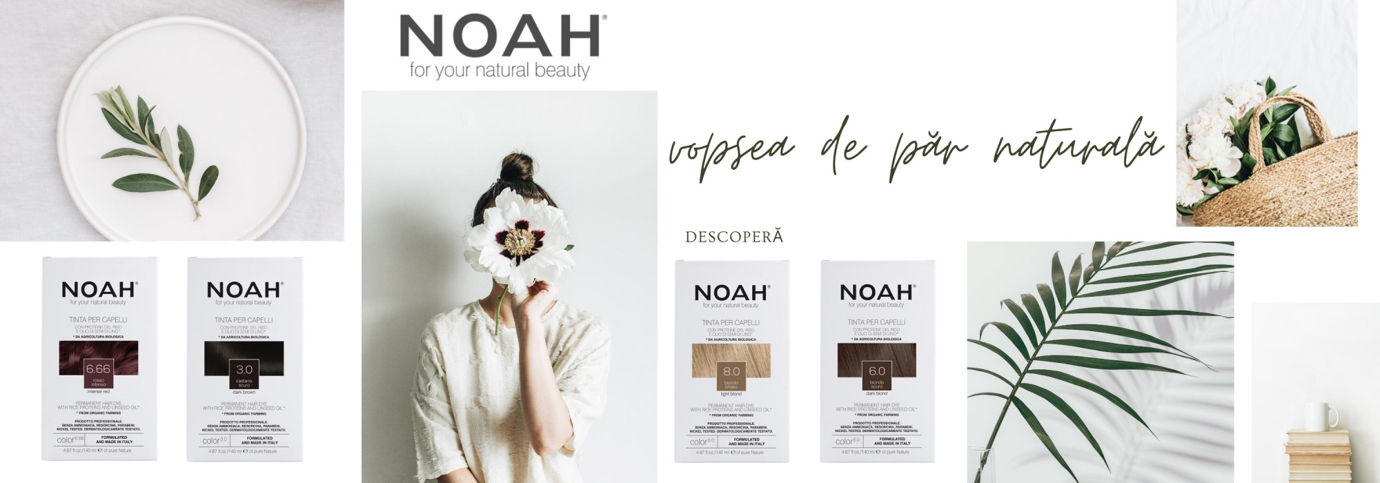 Noah vopsea