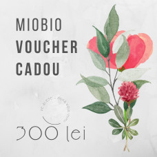 Voucher cadou #300