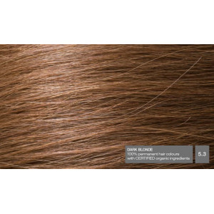 5.3 Blond inchis - Vopsea naturala de par