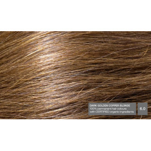 6.0 Blond inchis auriu aramiu - Vopsea naturala de par