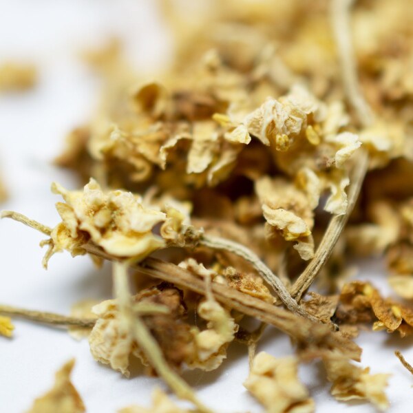 Gadal-Tea-Elderflower-15-5