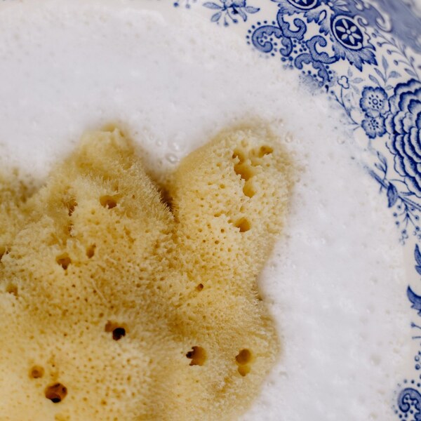 Croll-Denecke-burete-natural-BABY-6