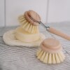 Croll-Denecke-perie-vase-cu-maner-2