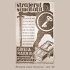 Cheia-detergent-natural-Strajerul-Sanatatii-4