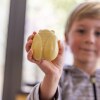 Rampal-Latour-Junior-sapun-SUNSHINE-FRUITS-2