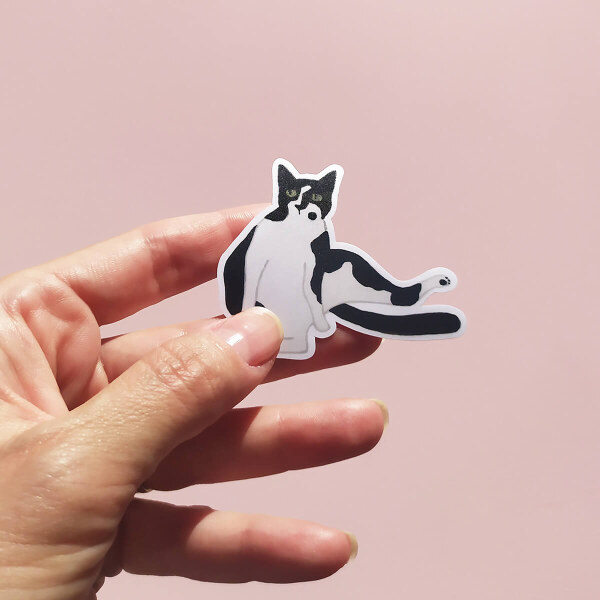 Ana Banica sticky cat tabby tuxedo