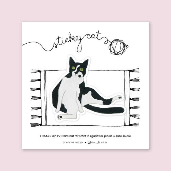 Ana Banica sticky cat tabby tuxedo