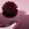 Borlind lip oil midnight dahlia