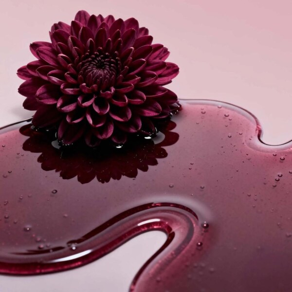 Borlind lip oil midnight dahlia