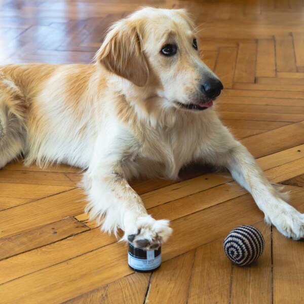 Homemade Pet balm