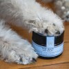 Homemade Pet balm