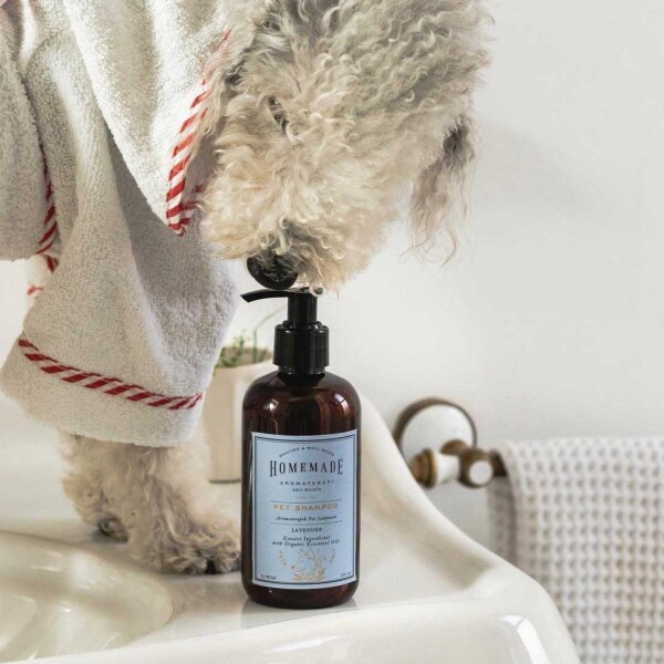 Homemade Pet shampoo