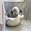 Homemade Pet shampoo