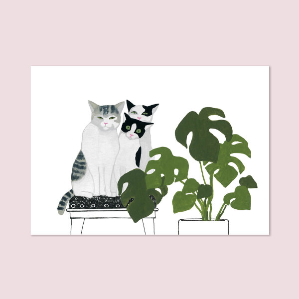 Ana Banica cats