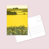 Ana Banica lan de rapita carte postala rapeseed field postcard