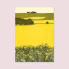 Ana Banica lan de rapita carte postala rapeseed field postcard 02B